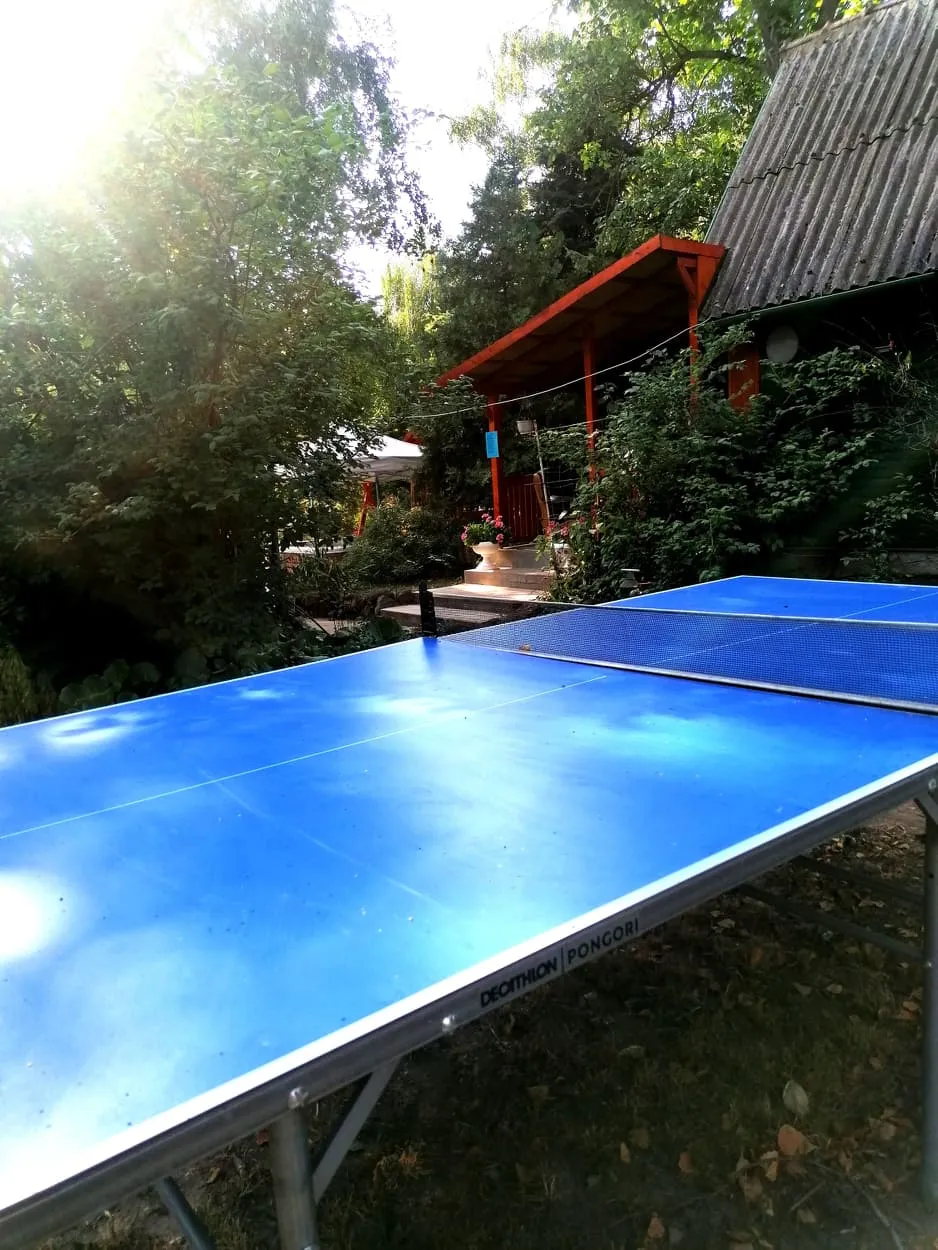 .ping-pong