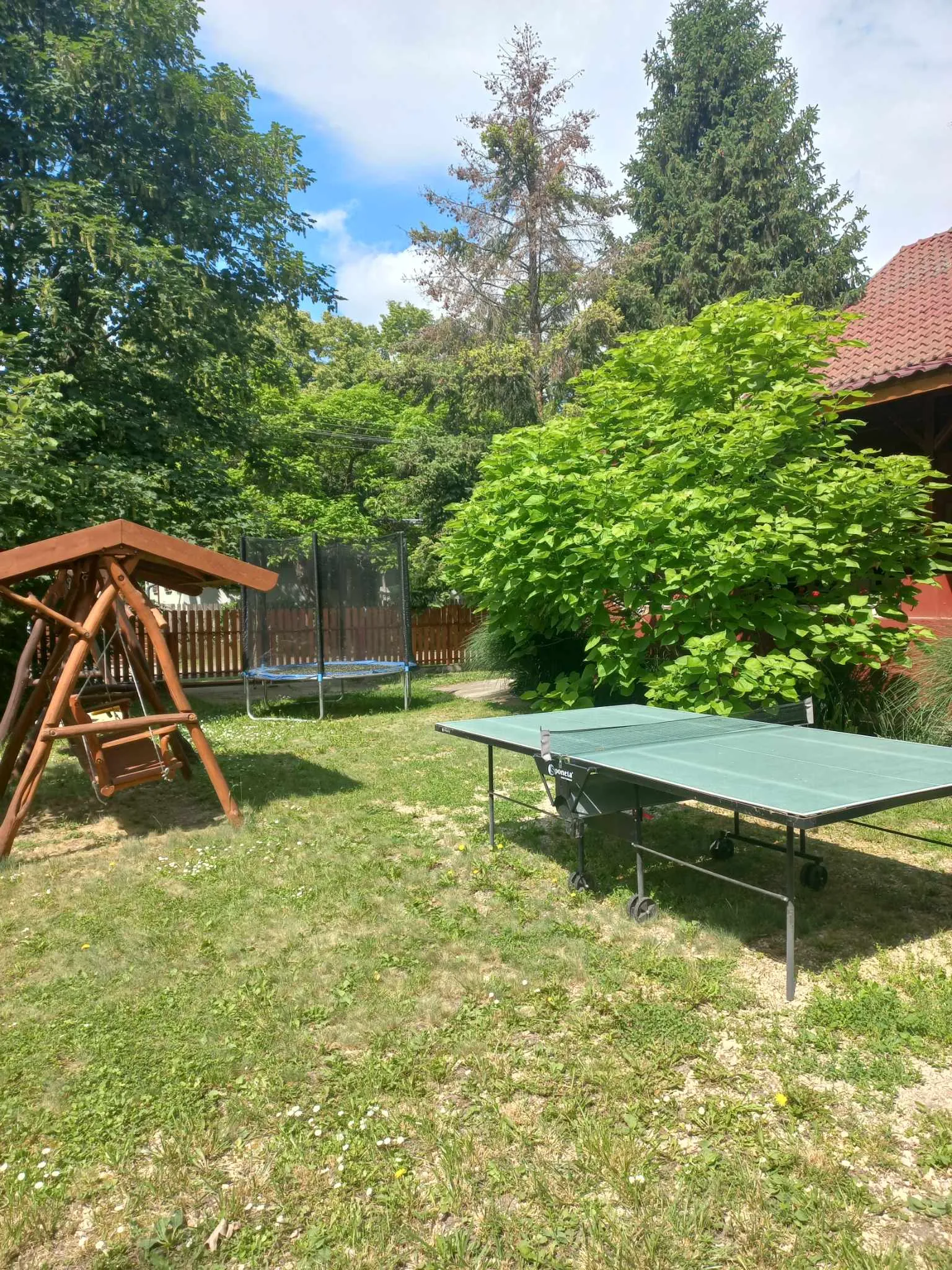 ping-pong