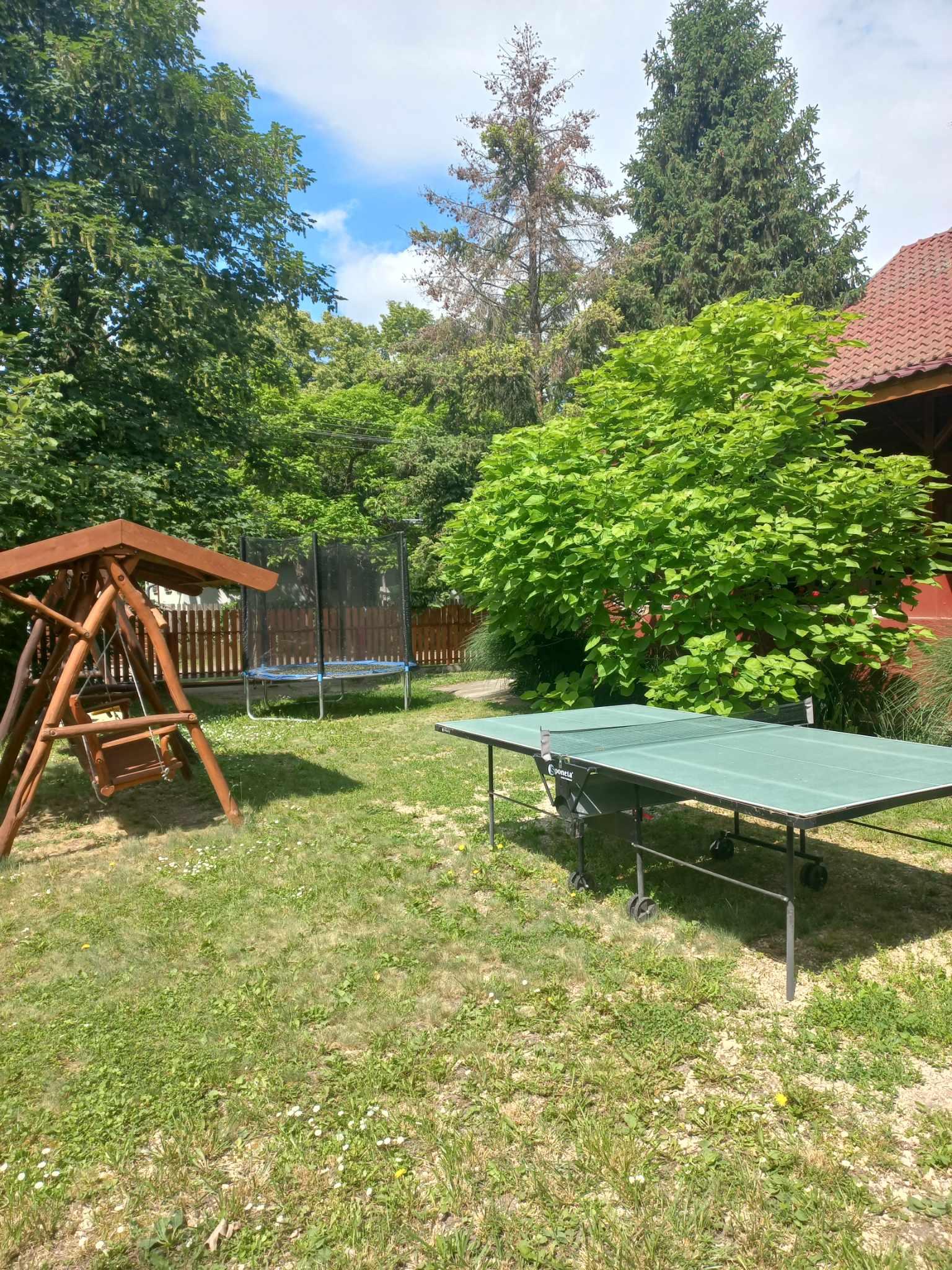 ping-pong