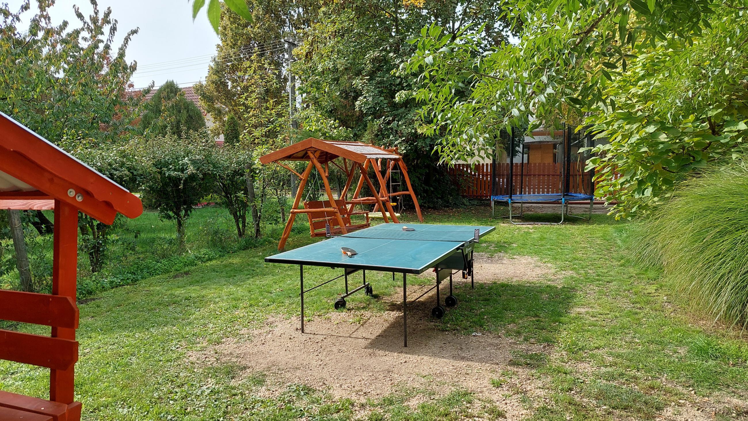 ping-pong
